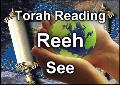 Reeh - See